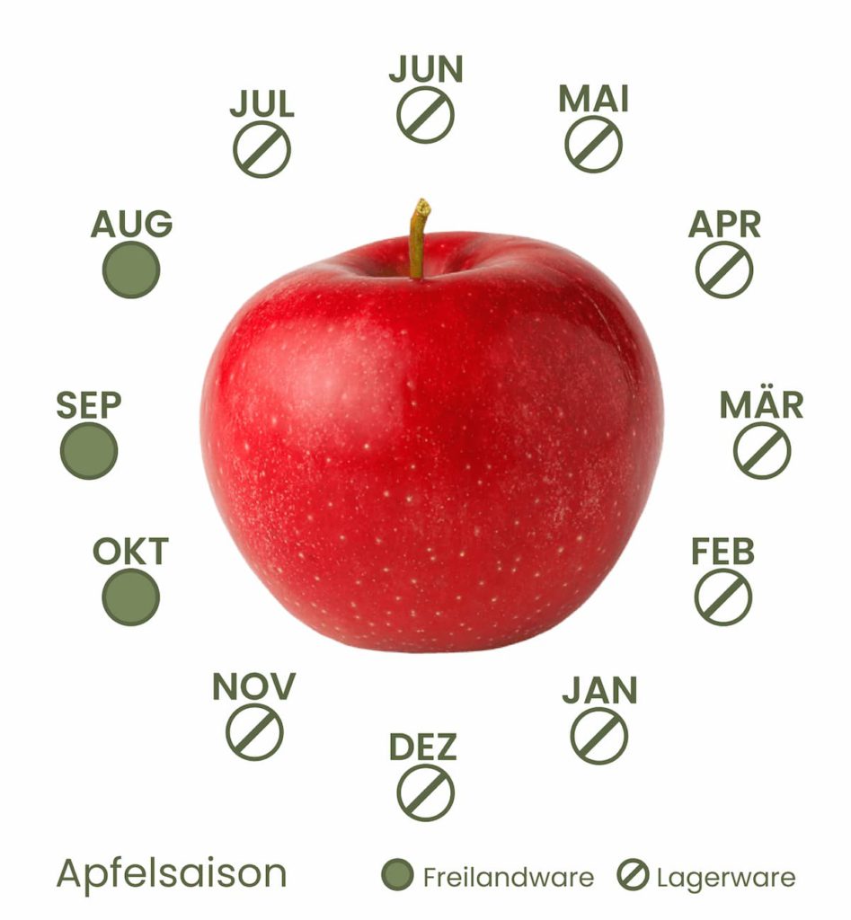Quand est-ce la saison des pommes ? Infographie sur la disponibilité saisonnière des pommes de plein champ et de garde 