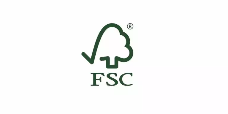 FSC - qu'est-ce que c'est exactement ? Expliqué par deinetuete.de - emballage durable à emporter