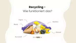 Recycling Wie funktioniert das? Ein Artikel von deinetuete.de dein Ansprechpartner für nachhaltige To-Go Verpackungen aus Papier. Jetzt deine Verpackungen individuell bedrucken lassen