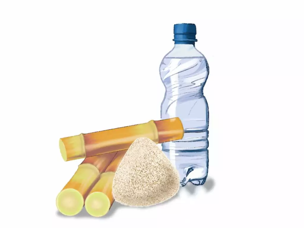 Alternative plastique à base de canne à sucre